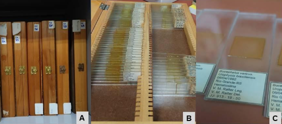 Parte do laminário da CHURG