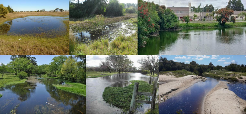 Ambientes aquáticos