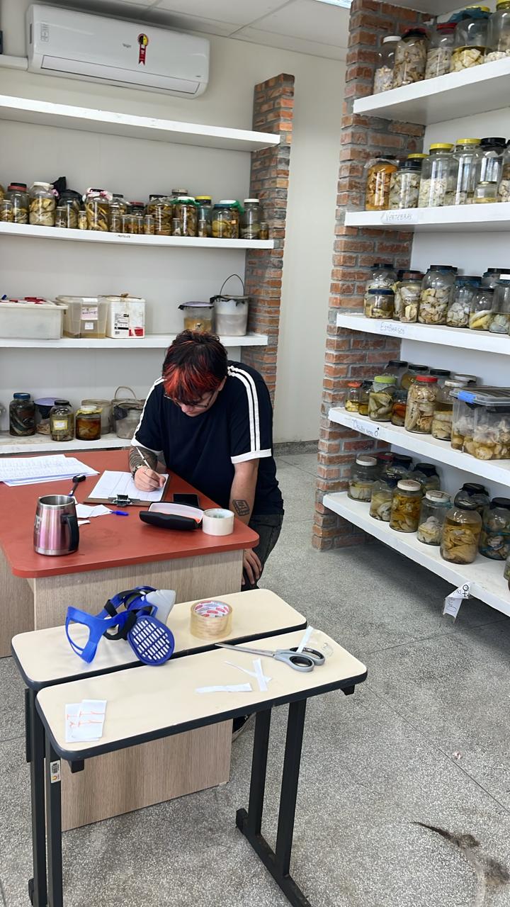 Peixes Cartilaginosos 2